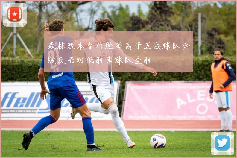 森林狼本季对胜率高于五成球队全败反而对低胜率球队全胜