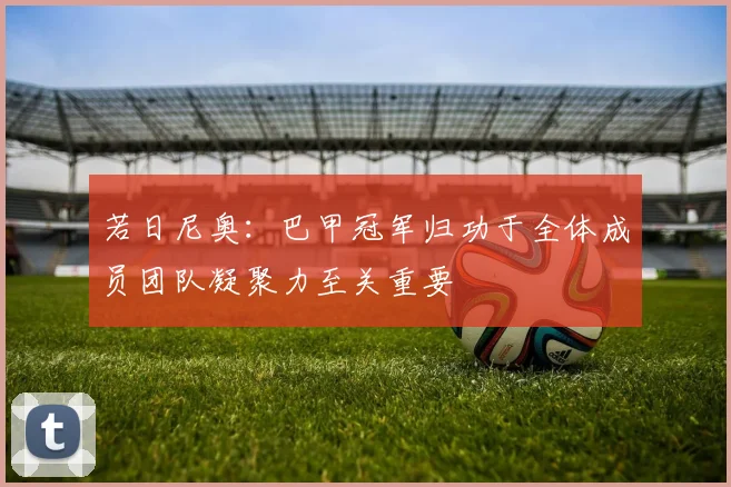 若日尼奥：巴甲冠军归功于全体成员团队凝聚力至关重要
