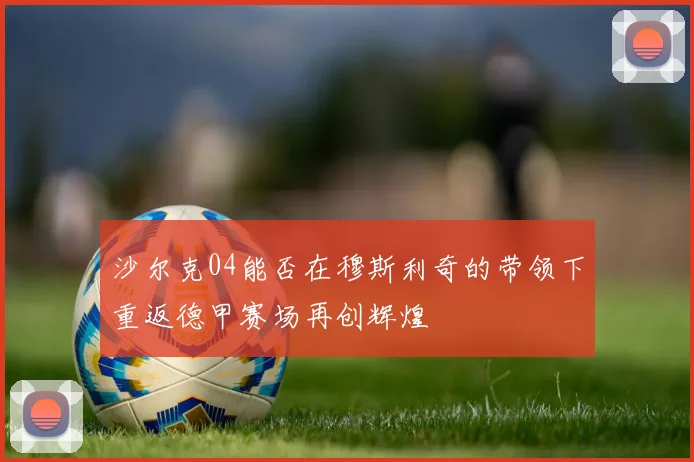 沙尔克04能否在穆斯利奇的带领下重返德甲赛场再创辉煌